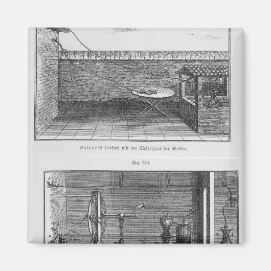 ルイス・ガルヴァニによるカエル実験 マグネット (正面)