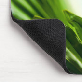 ルイス・キャス感動的引用文「疑い」 マウスパッド (コーナー)