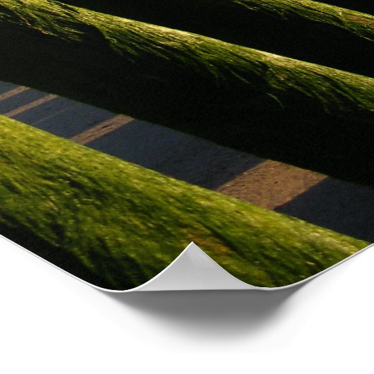 ルイス・スメデス赦し引用文ポスター ポスター (角)