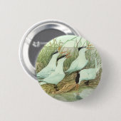 ルイス・フエルテスによる『湿原の古き鳥たち』 缶バッジ (正面&裏面)