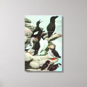 ルイス・フエルテスのヴィンテージ・コウテイペンギンと水鳥 キャンバスプリント (正面)
