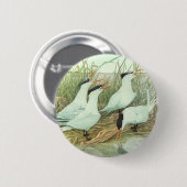 ルイス・フエルテスの古き湿原の海岸鳥 缶バッジ (正面&裏面)