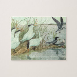 ルイス・フエルテスの湿原の古い海岸鳥たち ジグソーパズル