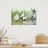 ルイス・フエルテスの湿原の古い海岸鳥たち ポスター (キッチン)