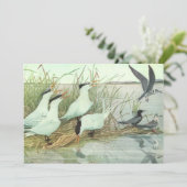 ルイス・フエレテスによるマッシュの古鳥 招待状 (スタンド正面)