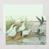 ルイス・フエレテスによるマッシュの古鳥 招待状 (正面/裏面)