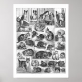 ルイス・ワーイン ポスター (正面)