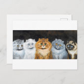 ルイス・ワーイン（5匹） ポストカード (正面/裏面)