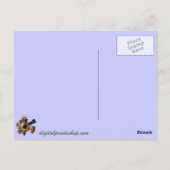 ルイビル・キー ポストカード (裏面)