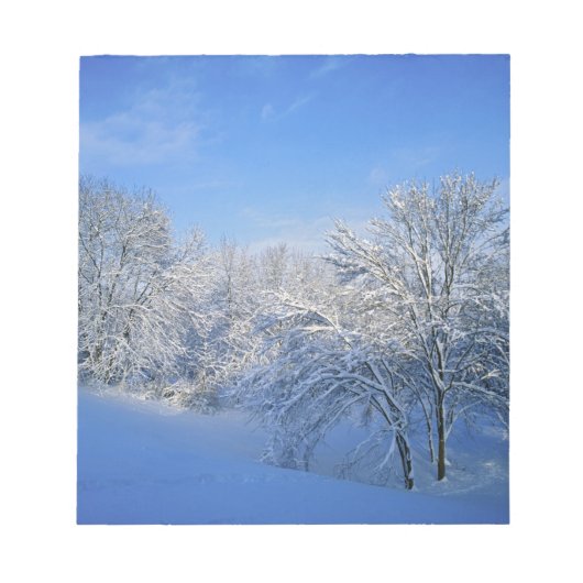 ルイビル、ケンタッキー州での記録的な雪 ノートパッド (正面)