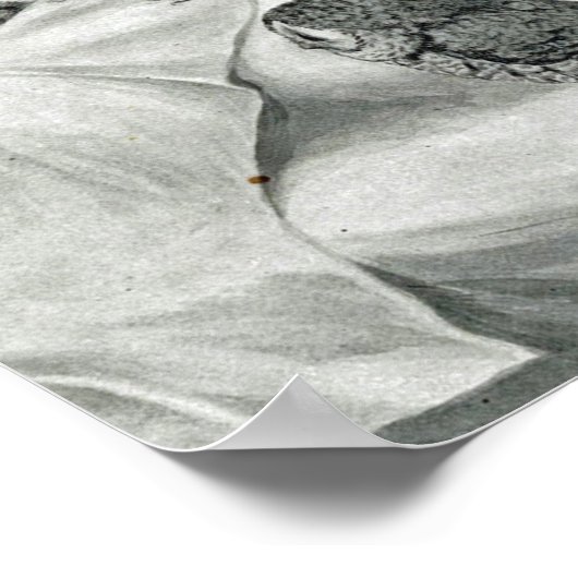 ルイワーインキャット悪夢フクロウバード ポスター (角)