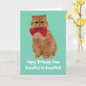 ルイージライオン猫のバースデー・カード カード (黄色い花)