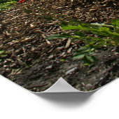 ルイーズ湖 ポスター (角)