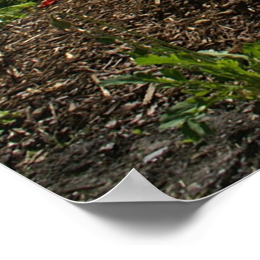 ルイーズ湖 ポスター (角)