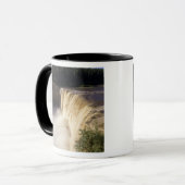 ルイーズ滝ズ、ツイン滝ズゴージ領有公園 マグカップ (正面左)