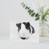 ルイーズ ポストカード (スタンド正面)