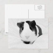 ルイーズ ポストカード (正面/裏面)