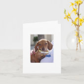 ルイ051 カード (黄色い花)