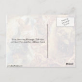 ルイ14世のアポテアシスby Charles Le Brun ポストカード (裏面)