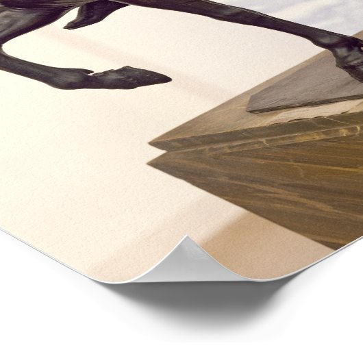 ルイ14世の騎士像 ポスター (角)