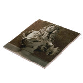 ルイ14世(1638-1715年)のポートレートのバスト、1665年、(3月 タイル (側面)