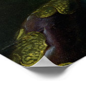 ルイ16世1786 ポスター (角)