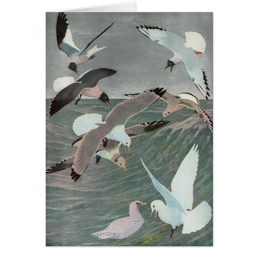 ルイ・アガスフエルテスによる海波の上のカモメ (正面)