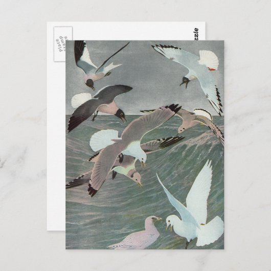 ルイ・アガスフエルテスによる海波の上のカモメ ポストカード (正面/裏面)