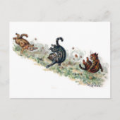 ルイ・ウィンの猫が転ぶ ポストカード (正面)