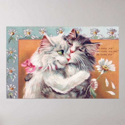 ルイ・ウェインによる互いに抱き合う二匹の猫 ポスター (正面)