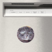 ルイ・ウェインの猫マグネット マグネット (インサイチュ (食洗機))