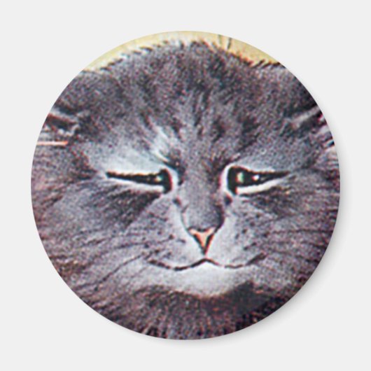 ルイ・ウェインの猫マグネット マグネット (正面)