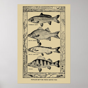 ルイ・ヘッドによるヴィンテージな淡水魚 ポスター