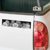 ルイ·遊ワイン·キャット·カード バンパーステッカー (トラック上)