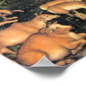 ルカスクランチザエルダーパラダイス ポスター (角)