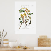 ルカフェ新しいイエローフローラボタニカルアメリカ ポスター (キッチン)
