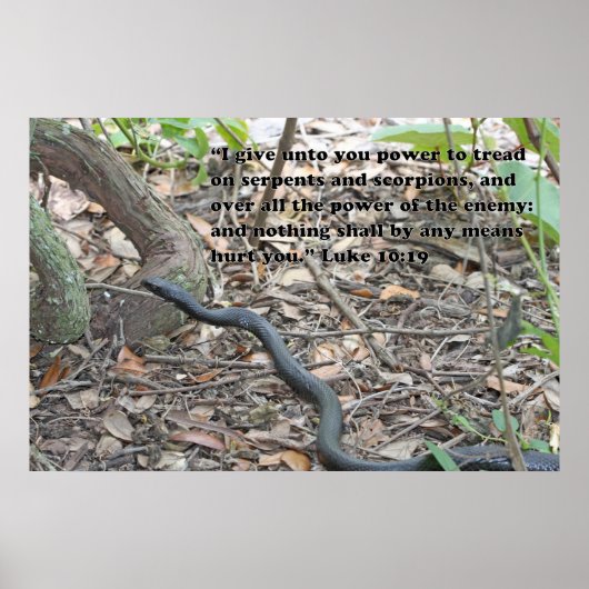 ルカ10:19聖なる書物、 経典ポスター ポスター (正面)