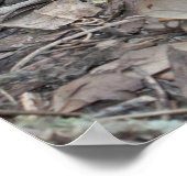 ルカ10:19聖なる書物、 経典ポスター ポスター (角)