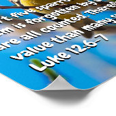 ルカ12:6-7 ポスター (角)