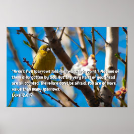 ルカ12:6-7 ポスター