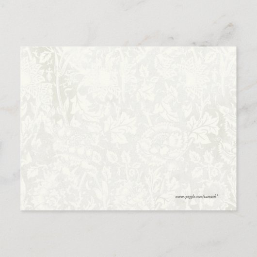 ルカ12:7あなたは多くのスズメよりも価値がある ポストカード (裏面)