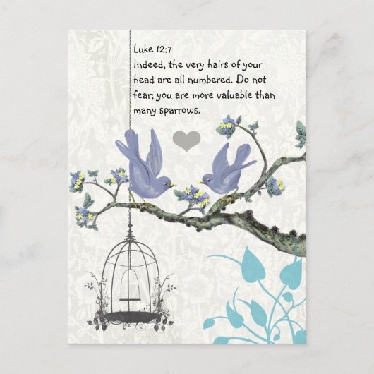ルカ12:7 あなたがたは、多くのスズメよりも価値があるのです。 ポストカード (正面)
