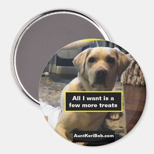 ルガーの他の少数のおやつ マグネット (正面/裏面)