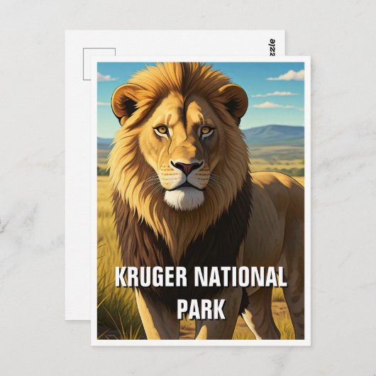 ルガー国立公園南アフリカのライオン ポストカード (正面/裏面)