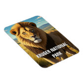 ルガー国立公園南アフリカのライオン マグネット (右側)