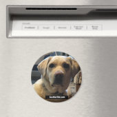 ルガー威厳がある2020 マグネット (インサイチュ (食洗機))