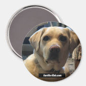 ルガー威厳がある2020 マグネット (正面/裏面)