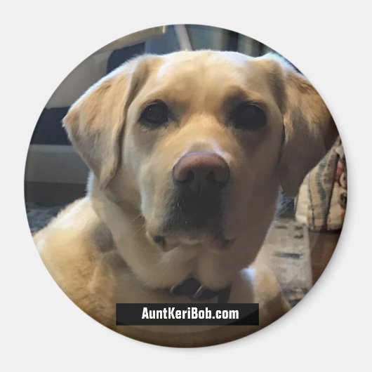 ルガー威厳がある2020 マグネット (正面)