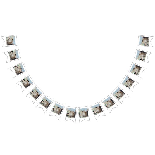 ルキャットデュカフェ バンティングフラッグ (全)