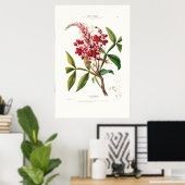 ルキンキーナヴィンテージボタニカルフローレDアメリカ ポスター (ホームオフィス)